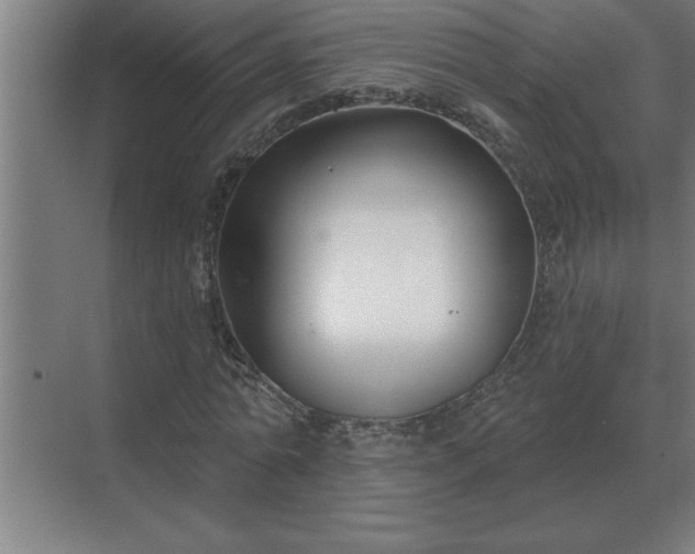 X0000069820774200605261813