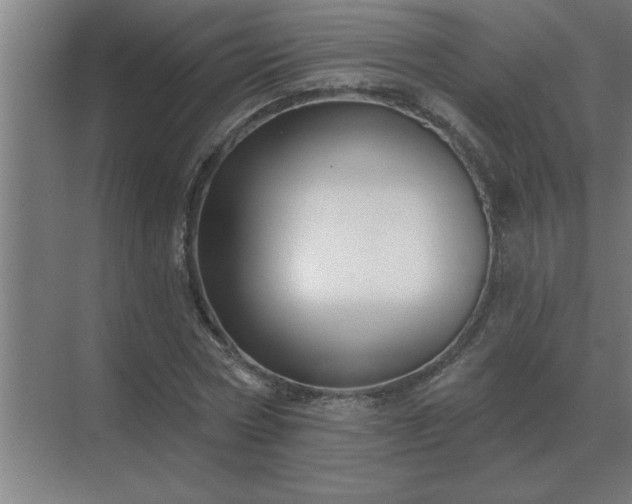 X0000069820778200605261813