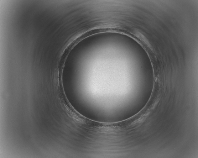 X0000069820781200605261813