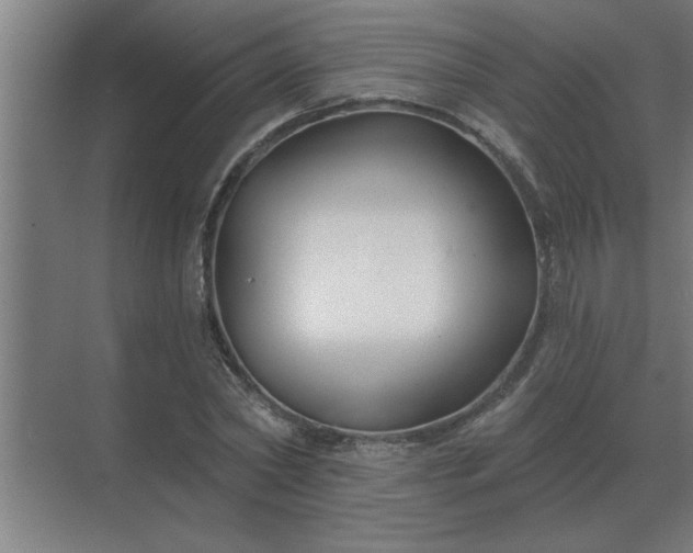 X0000069820782200605261813