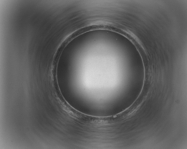 X0000069820783200605261813