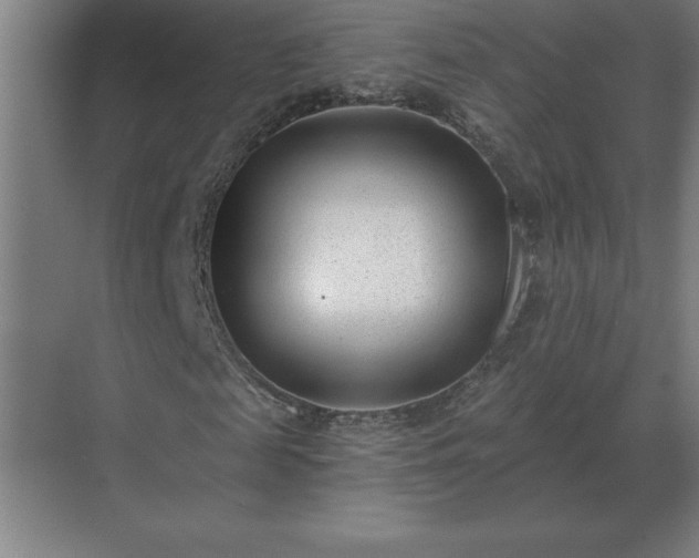 X0000069820817200605261812