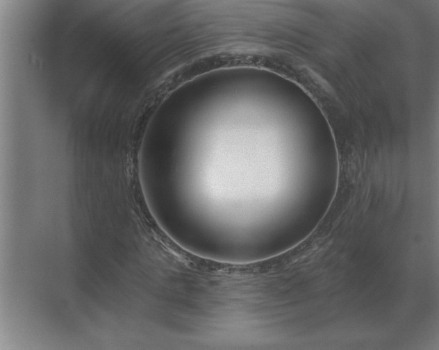 X0000069820821200605261812