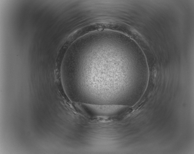X0000069820822200605261812