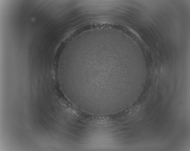 X0000069820823200605261812