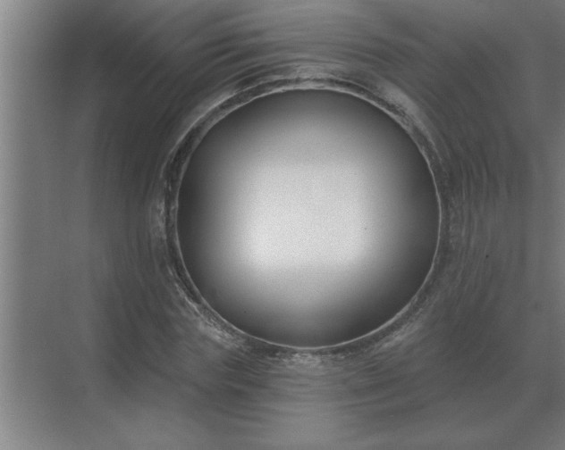 X0000069820827200605261812