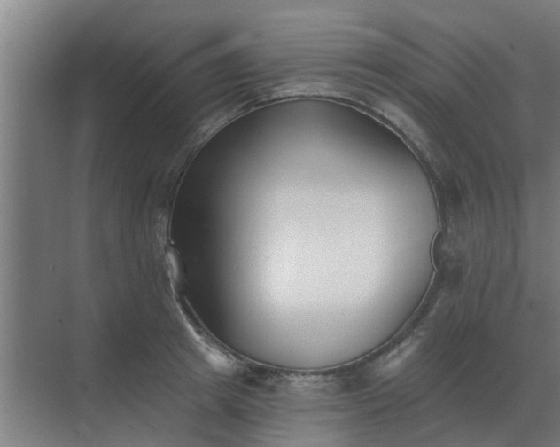 X0000069820849200605261812