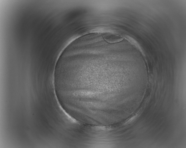 X0000069820855200605261812