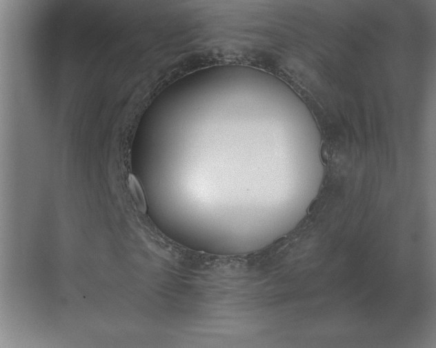 X0000069820865200605261812