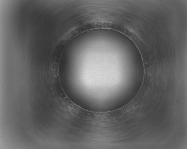 X0000069820870200605261812