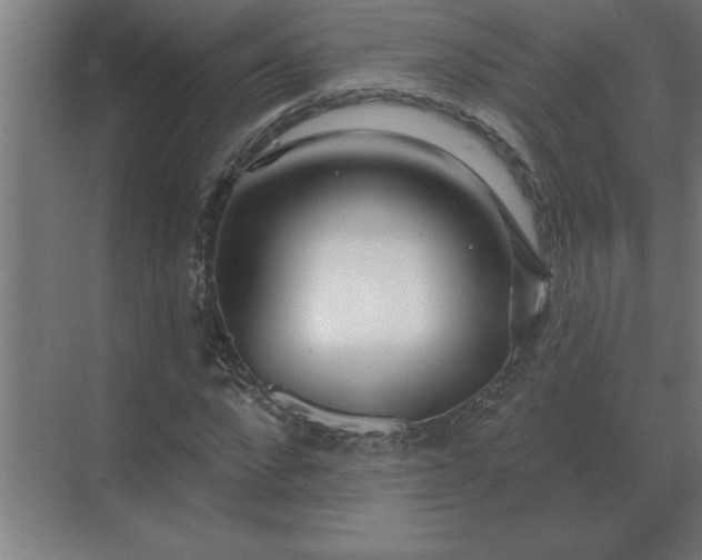 X0000069820872200605261812