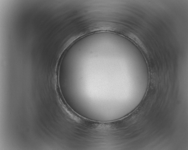 X0000069820890200605261811