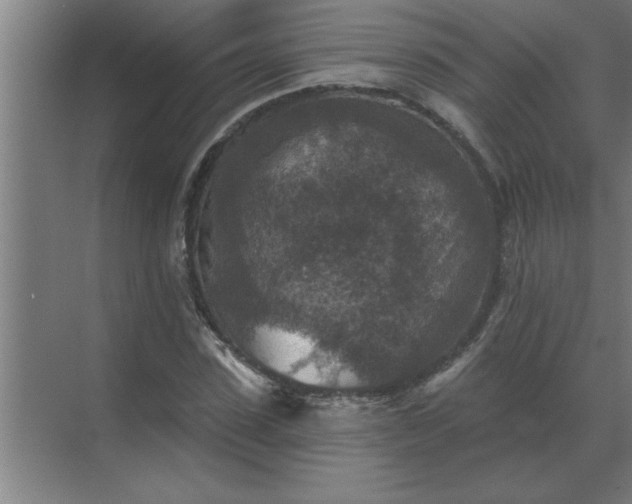 X0000069820923200605261810