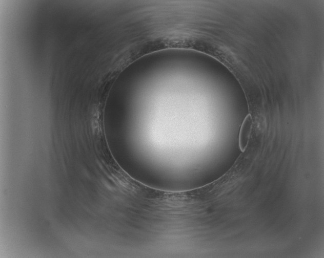X0000069820964200605261810