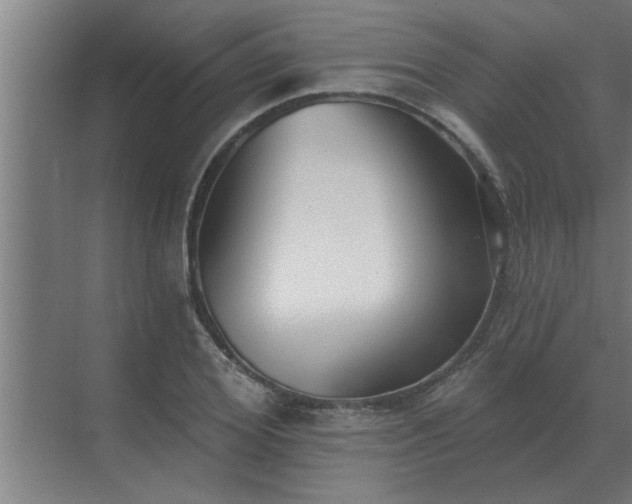 X0000069820980200605261810