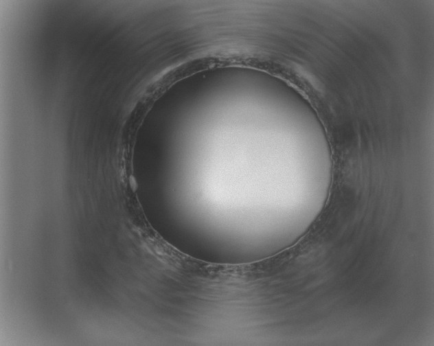X0000069821016200605261809