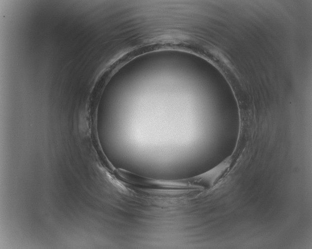 X0000069821018200605261809