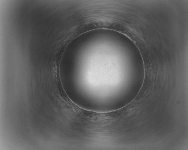X0000069821061200605261808