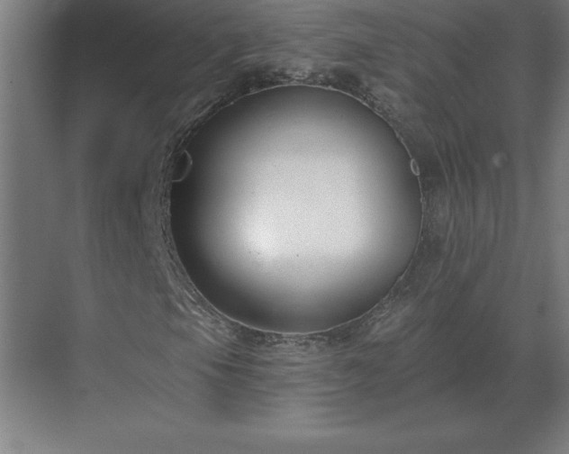 X0000069821105200605261807