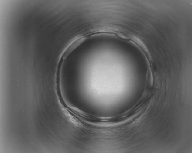 X0000069821138200605261807