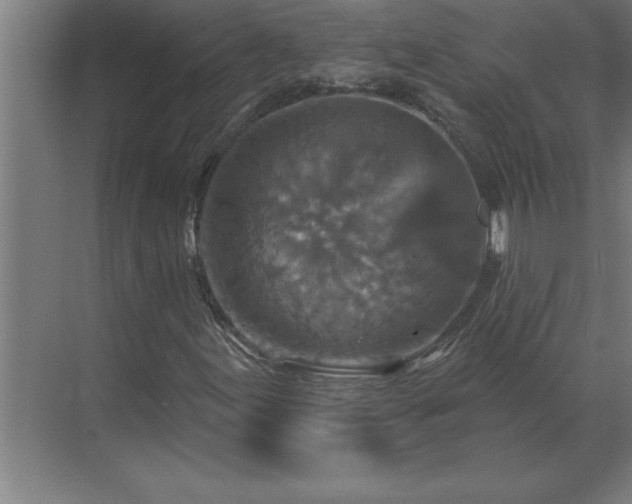 X0000069821155200605261807