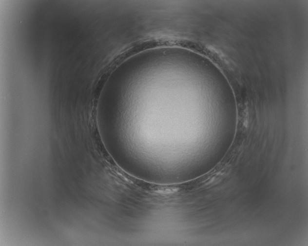 X0000069821157200605261807