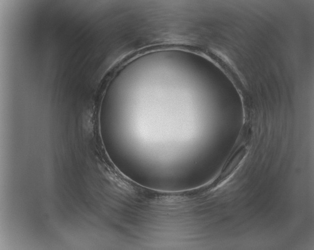 X0000069821163200605261807