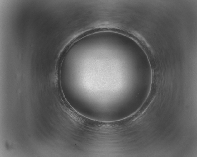 X0000069821167200605261807