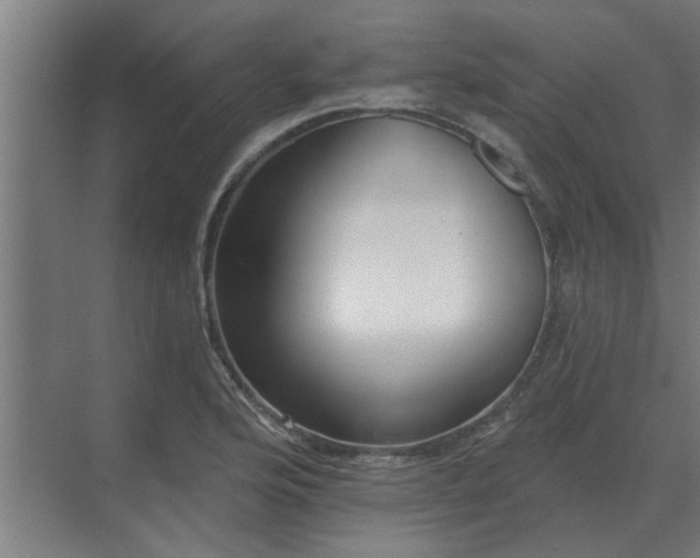 X0000069821176200605261807