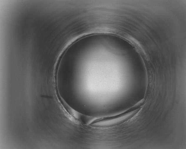 X0000069821192200605261806