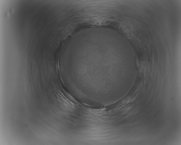 X0000069821202200605261805
