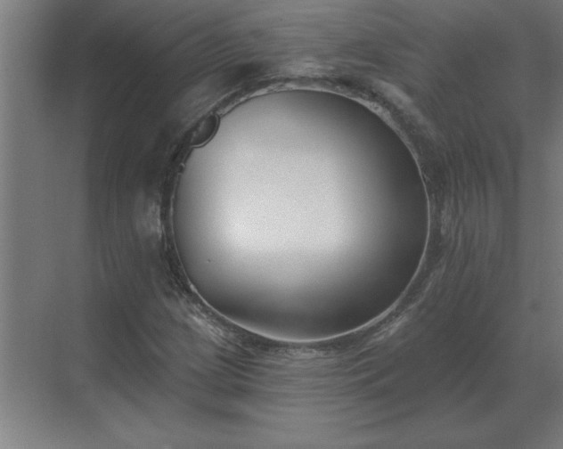 X0000069821209200605261805