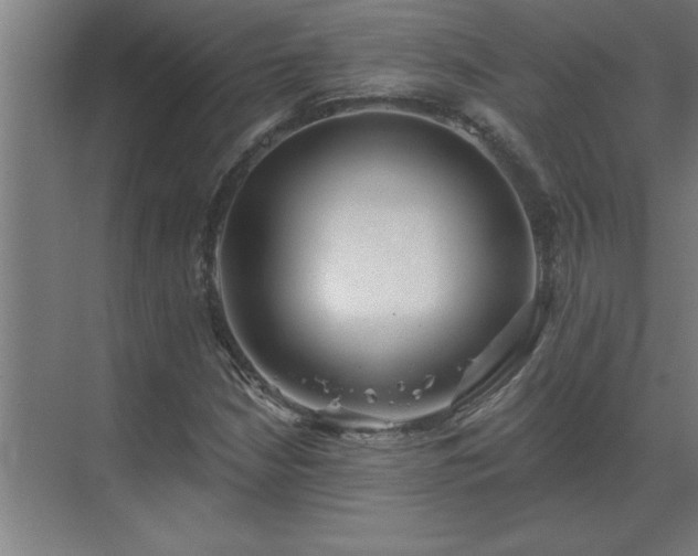X0000069821210200605261805