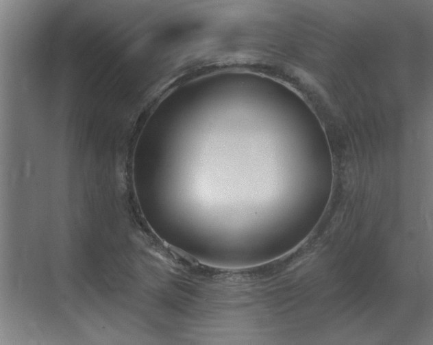 X0000069821217200605261806
