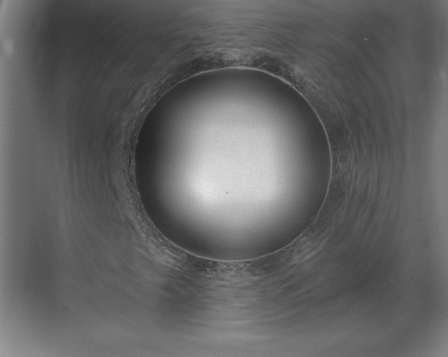 X0000069821249200605261805