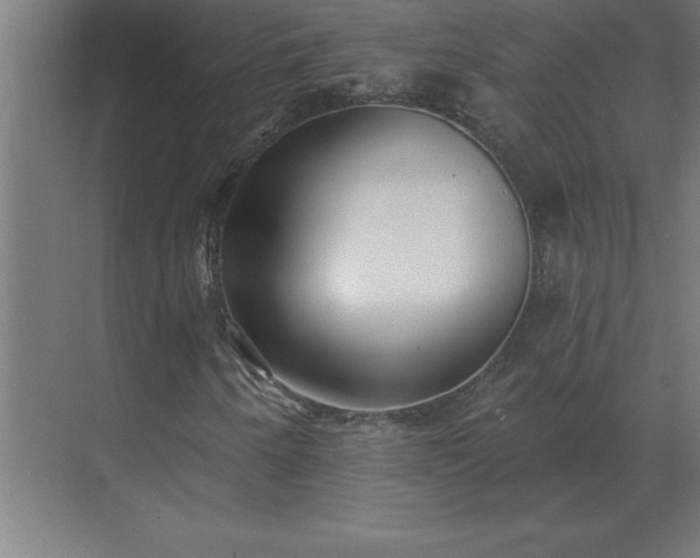 X0000069821250200605261805