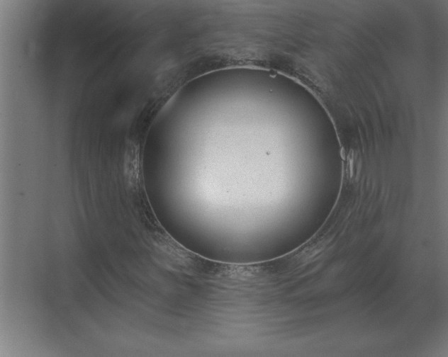 X0000069821251200605261805