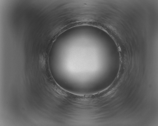 X0000069821257200605261805