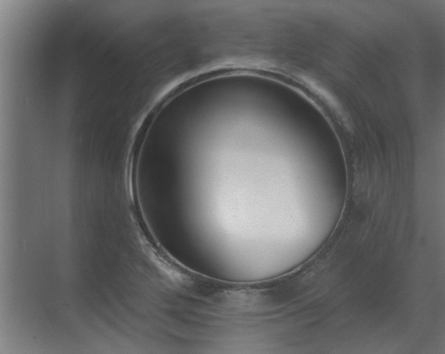 X0000069821272200605261805