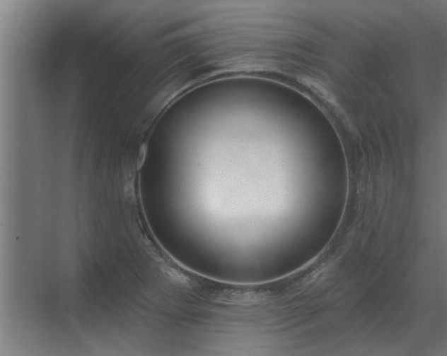 X0000069821273200605261805