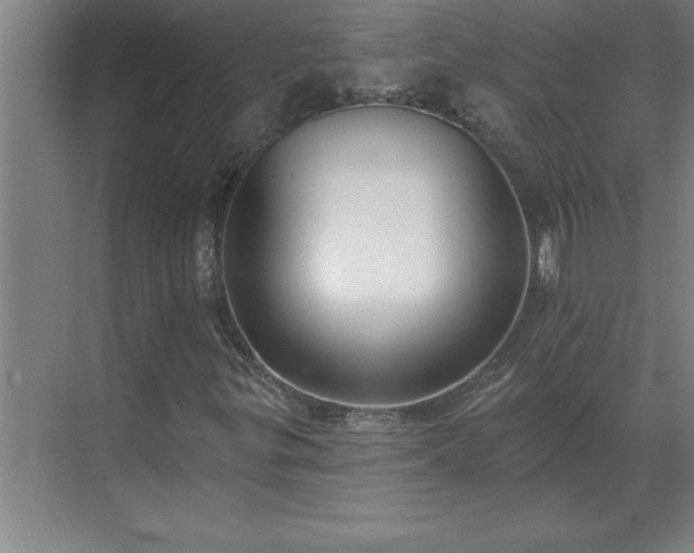 X0000069821299200605261804