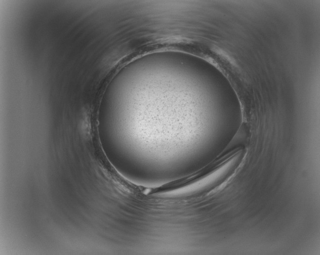 X0000069821305200605261804