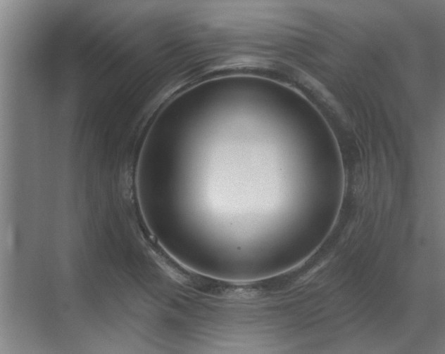 X0000069821321200605261804