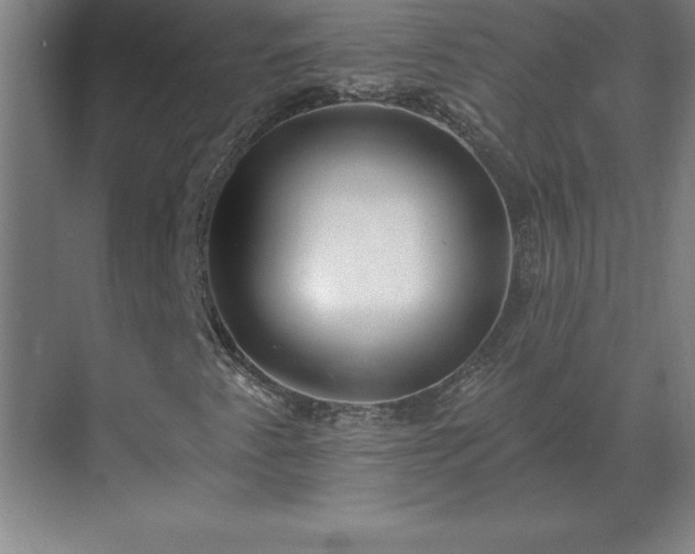 X0000069821345200605261804