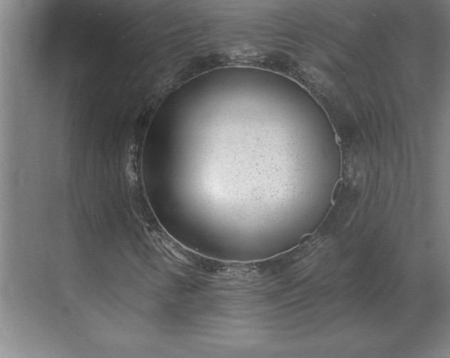 X0000069821346200605261804