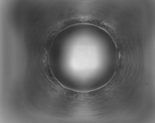X0000069821349200605261804