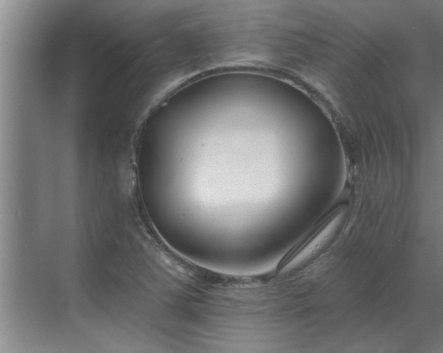 X0000069821363200605261803