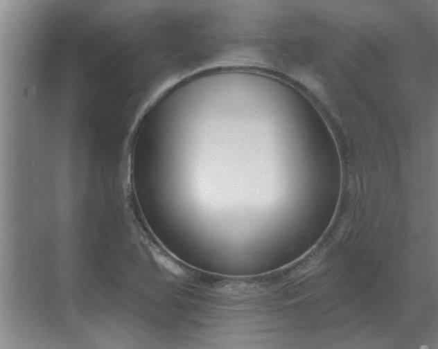 X0000069821366200605261803