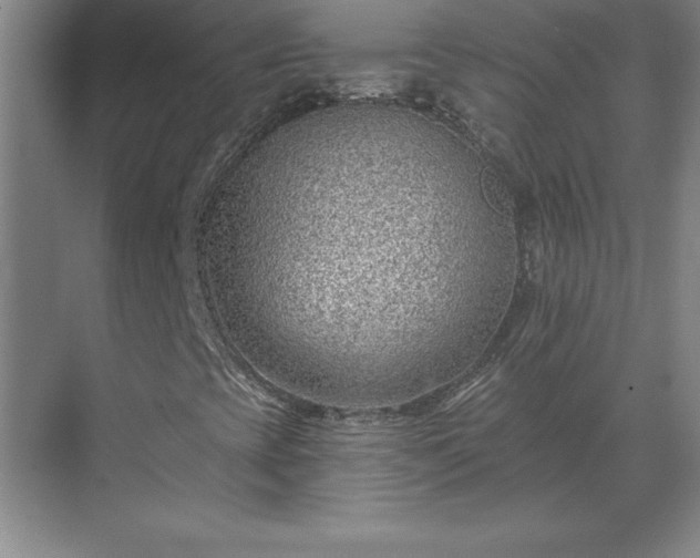 X0000069821393200605261802