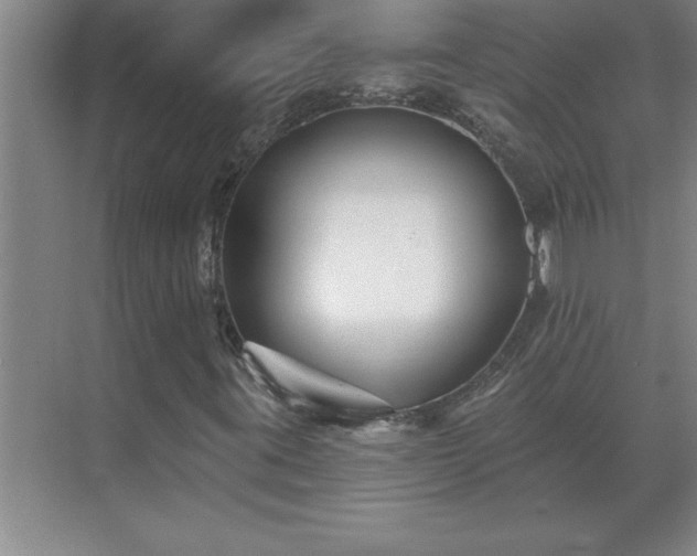 X0000069821395200605261802